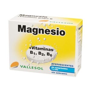 VALLESOL MAGNESIO+B EFERV 24 CAPS