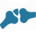 Icon Ortopedia