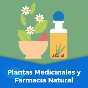 Plantas Medicinales y Farmacia Natural